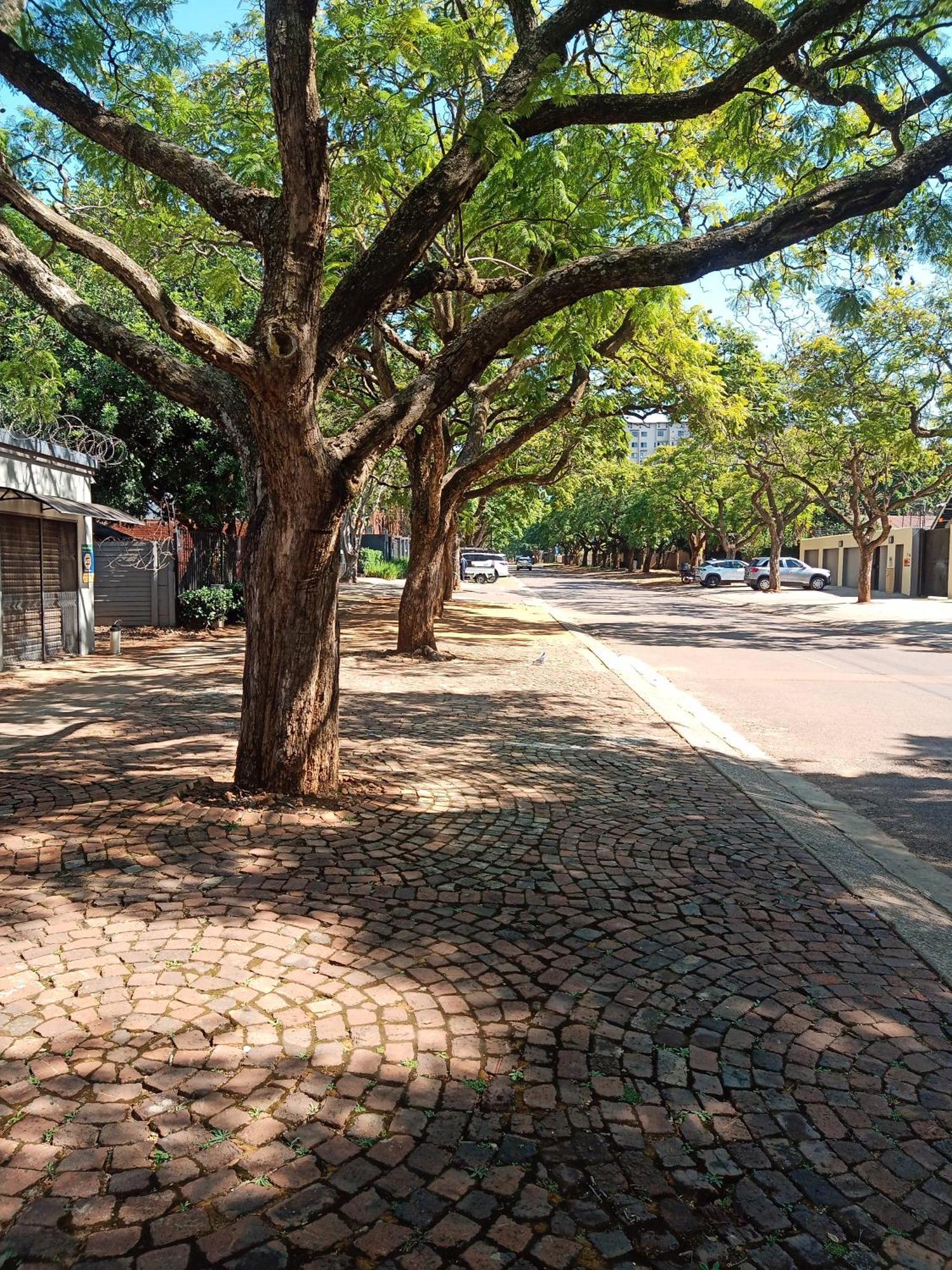 פרטוריה Accommodation@Park1285 מראה חיצוני תמונה